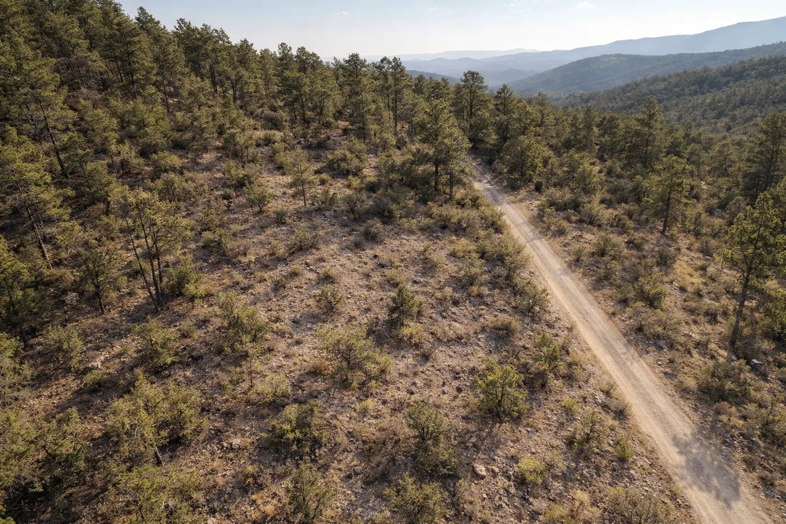 Illustration: AI drone view of the lot, made from the county aerial and the photos