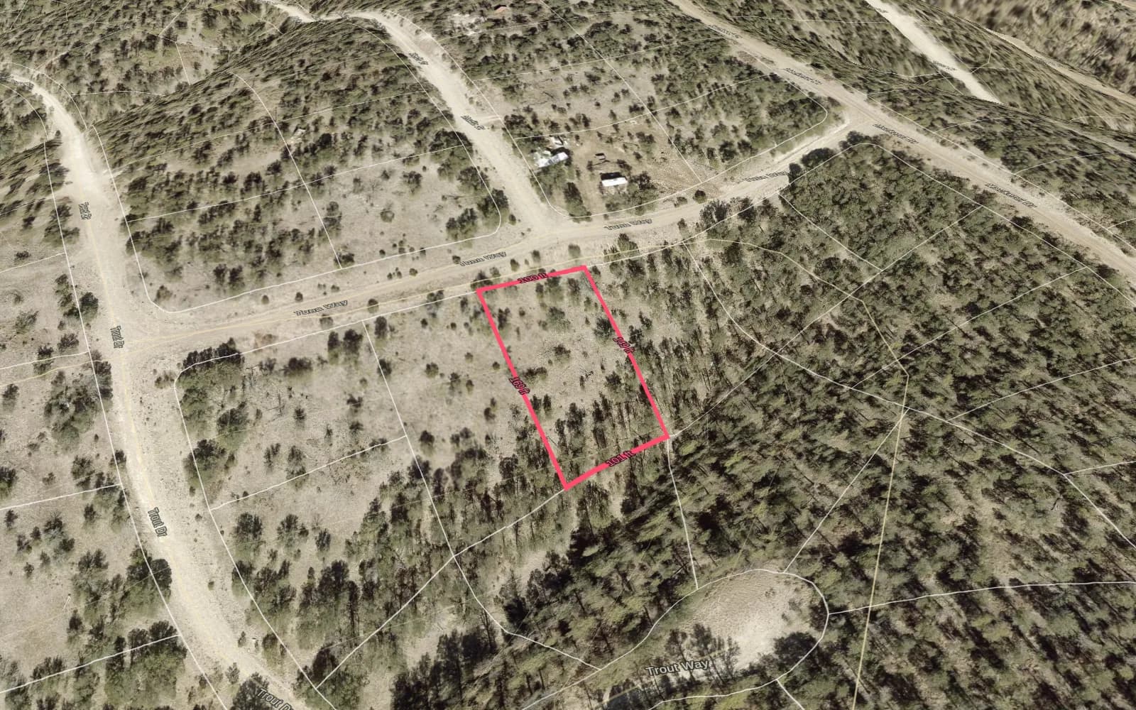 Illustration: TimberView 3D parcel view with lot dimensions, terrain exaggerated 2x