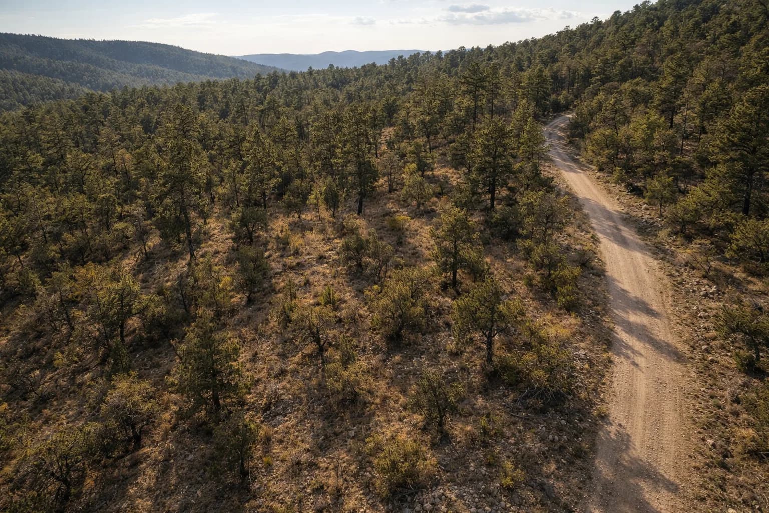 Illustration: AI drone view of the lot, made from the county aerial and the photos