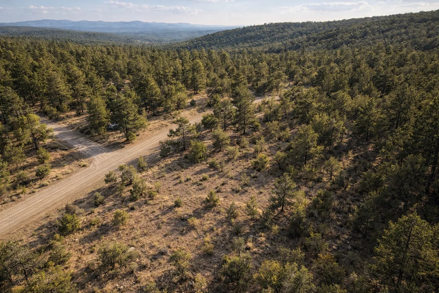Illustration: AI drone view of the lot, made from the county aerial and the photos