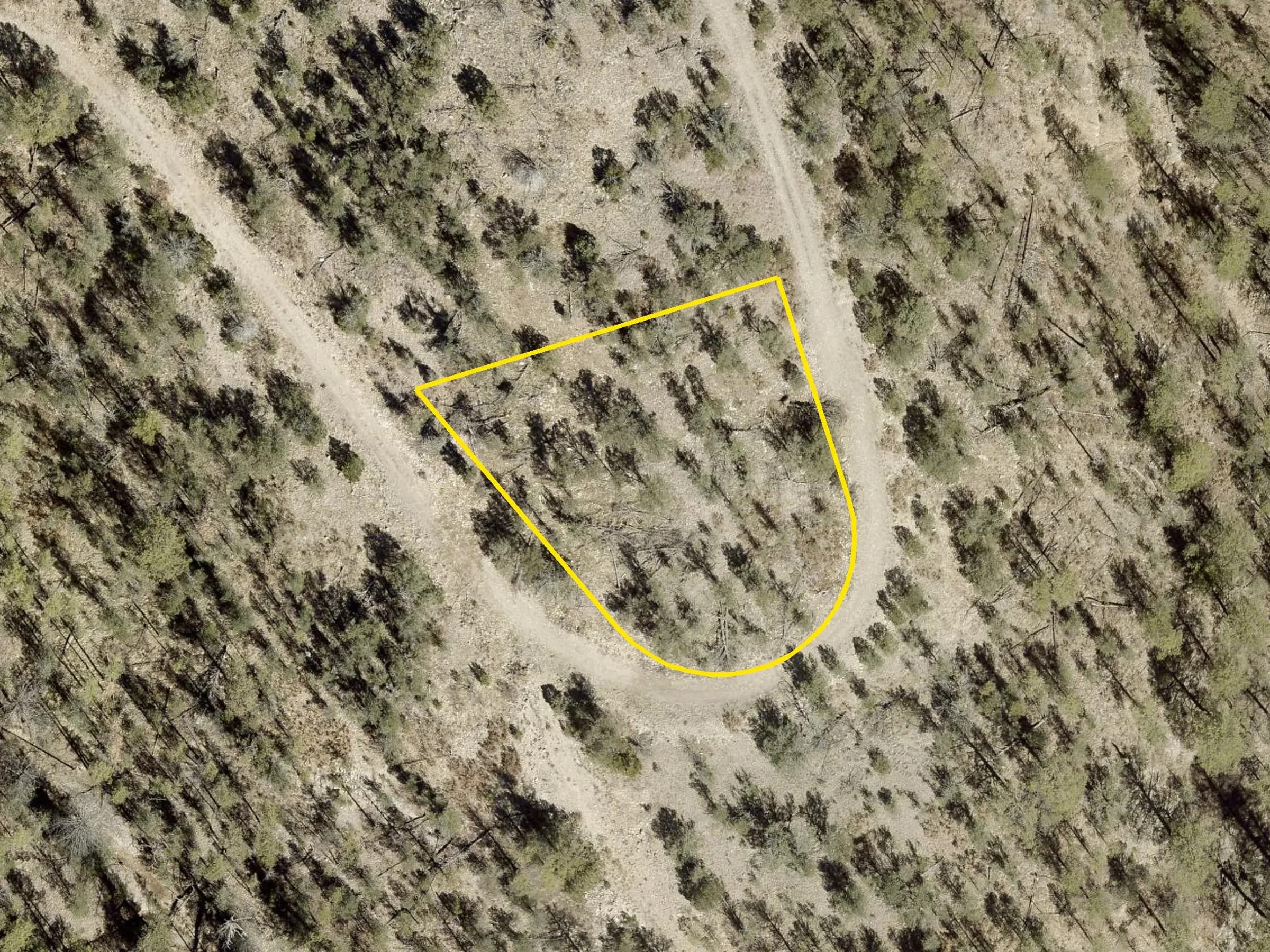 County 2026 aerial with the lot outlined in yellow