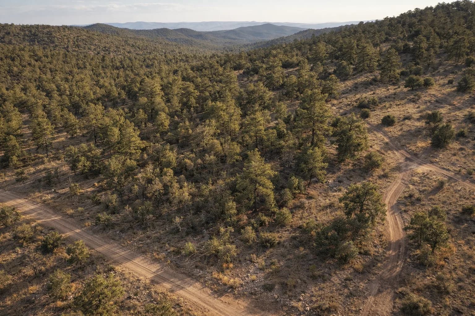 Illustration: AI drone view of the lot, made from the county aerial and the photos