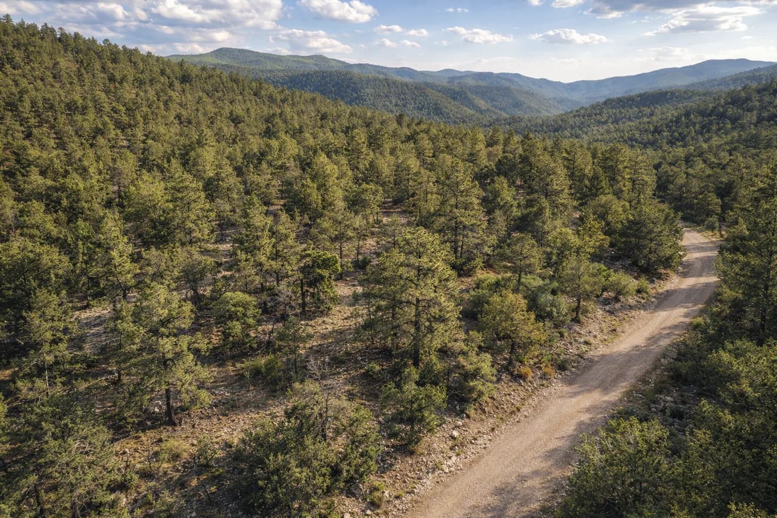 Illustration: AI drone view of the lot, made from the county aerial and the photos