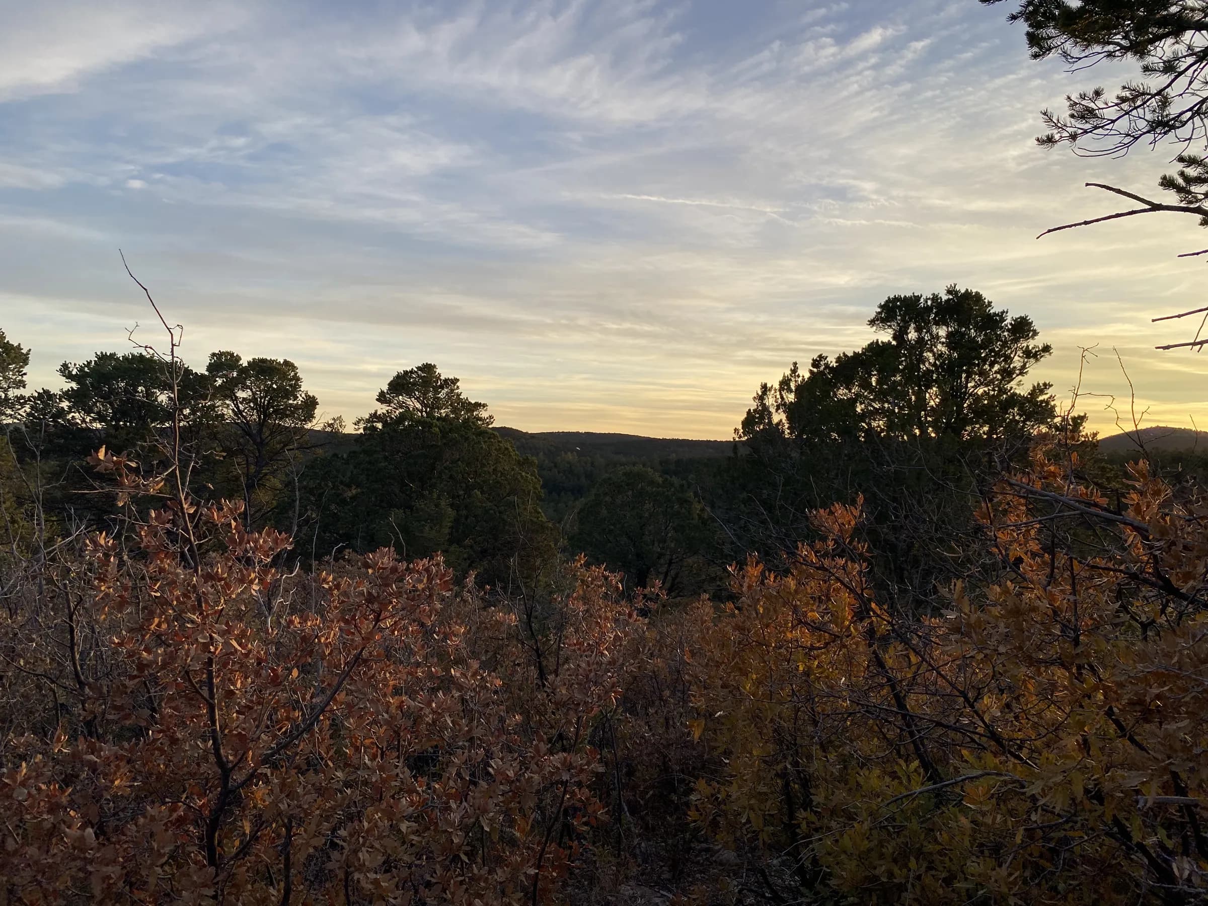 Evening view over the ridge from the upper lots