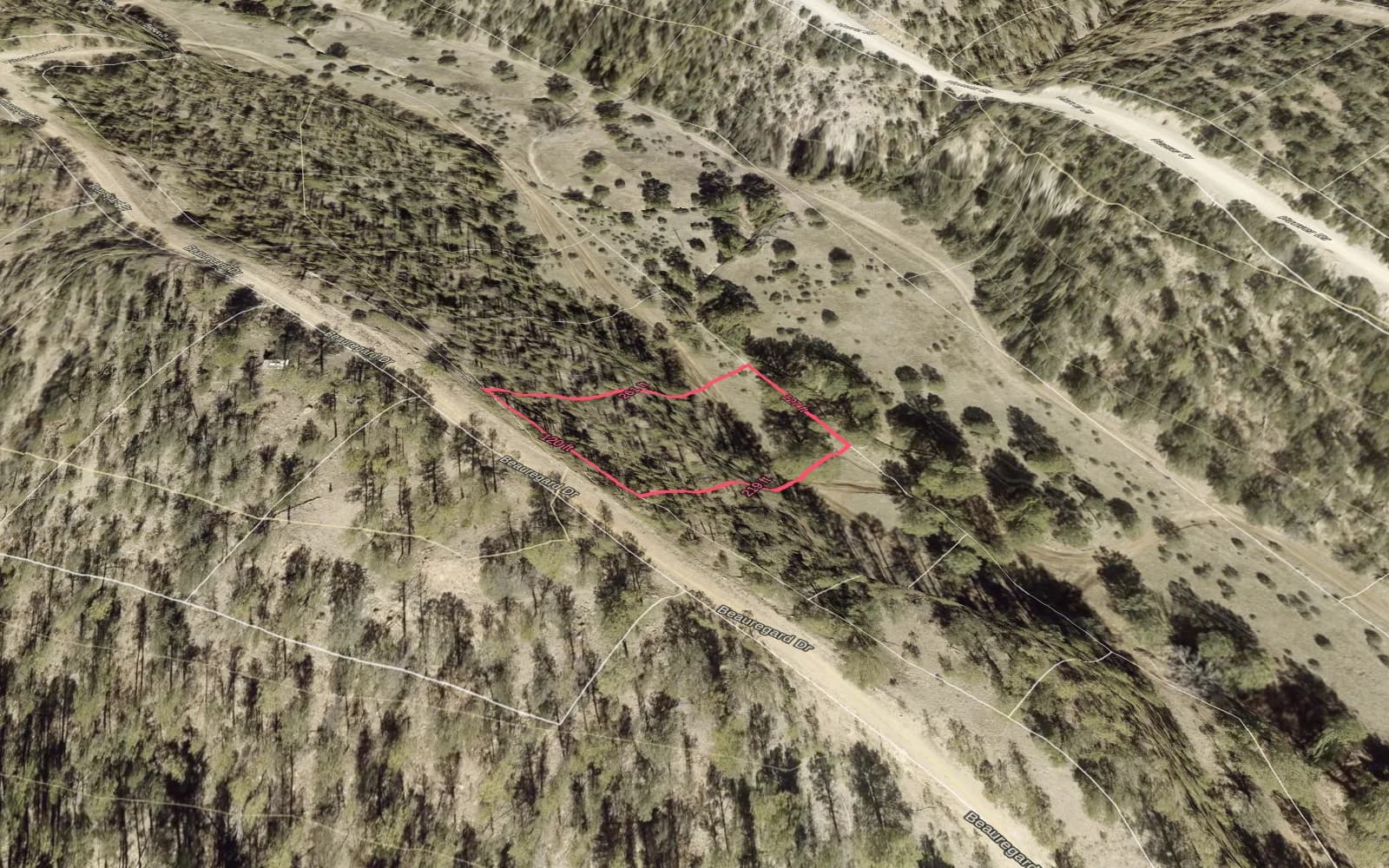 Illustration: TimberView 3D parcel view with lot dimensions, terrain exaggerated 2x