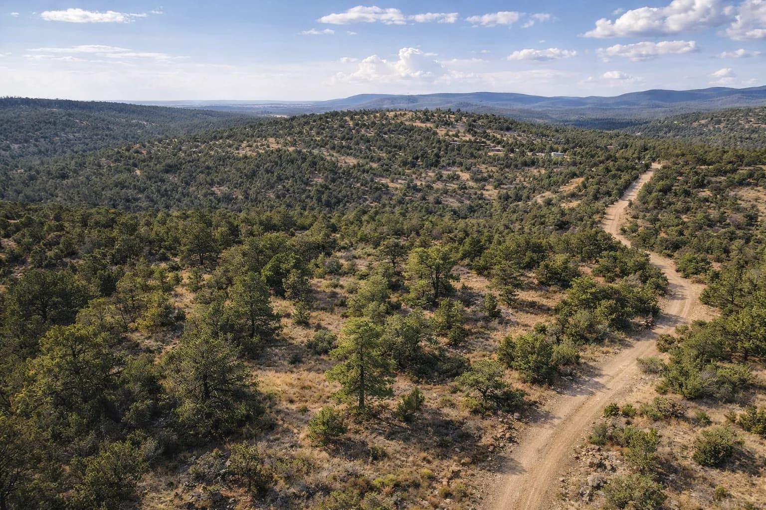 Illustration: AI drone view of the lot, made from the county aerial and the photos