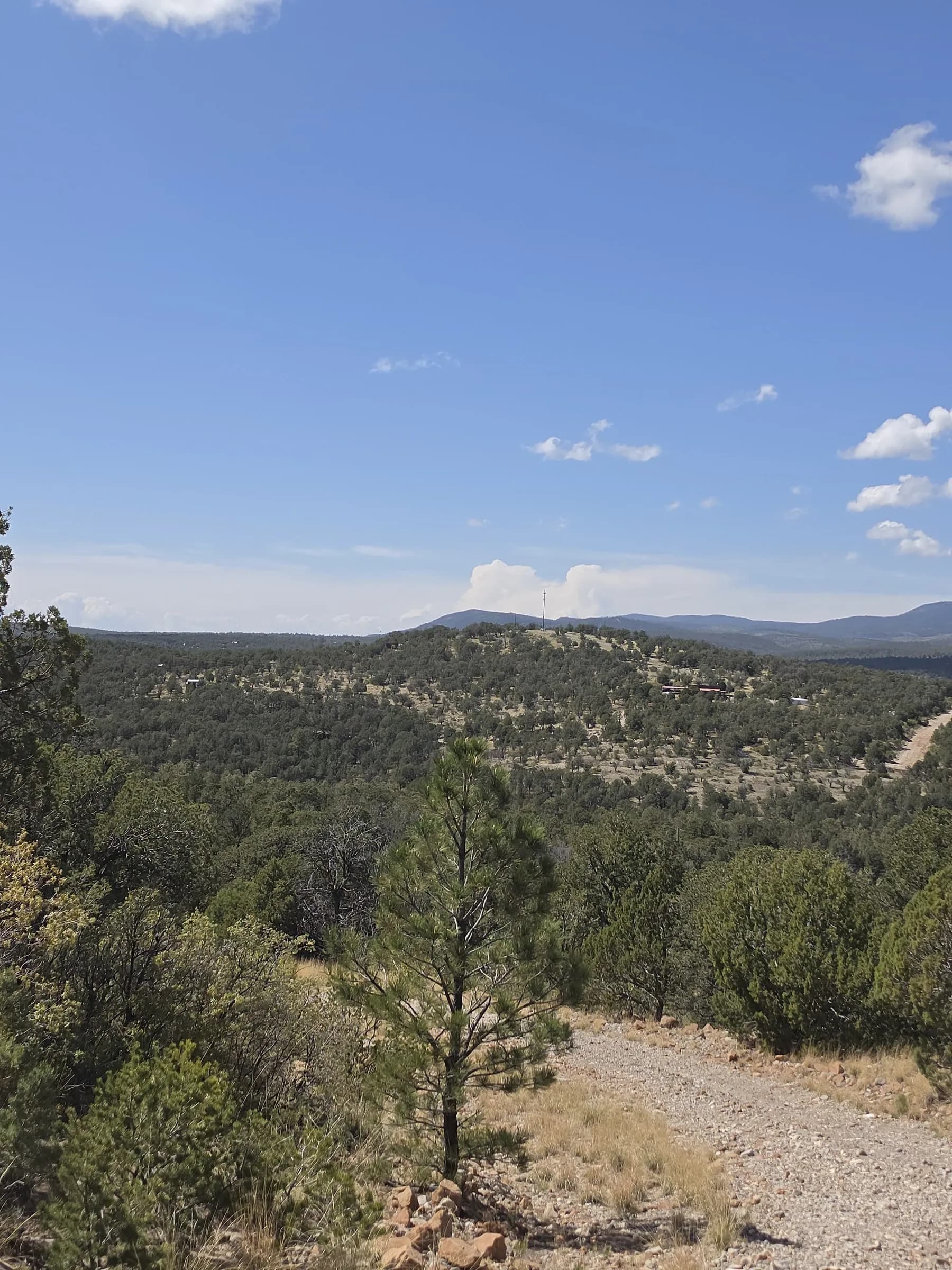 Piñon and juniper on rocky ground above a gravel track, looking out over forested hills in Timberon