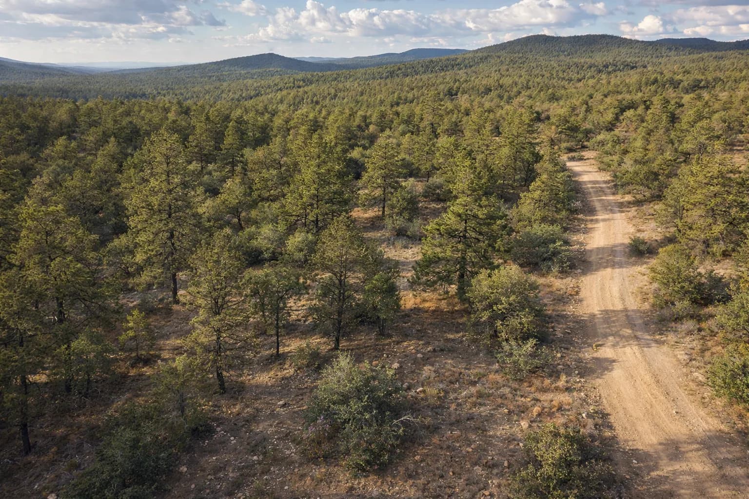 Illustration: AI drone view of the lot, made from the county aerial and the photos
