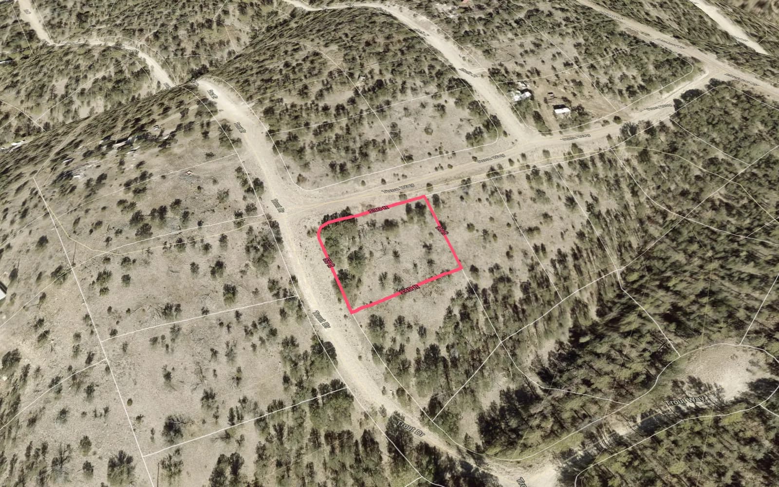 Illustration: TimberView 3D parcel view with lot dimensions, terrain exaggerated 2x