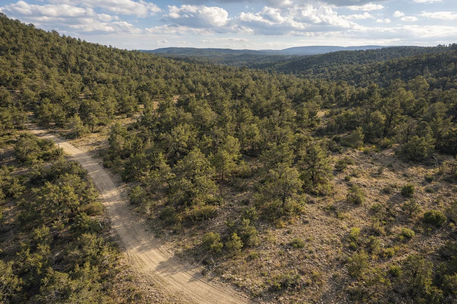Illustration: AI drone view of the lot, made from the county aerial and the photos