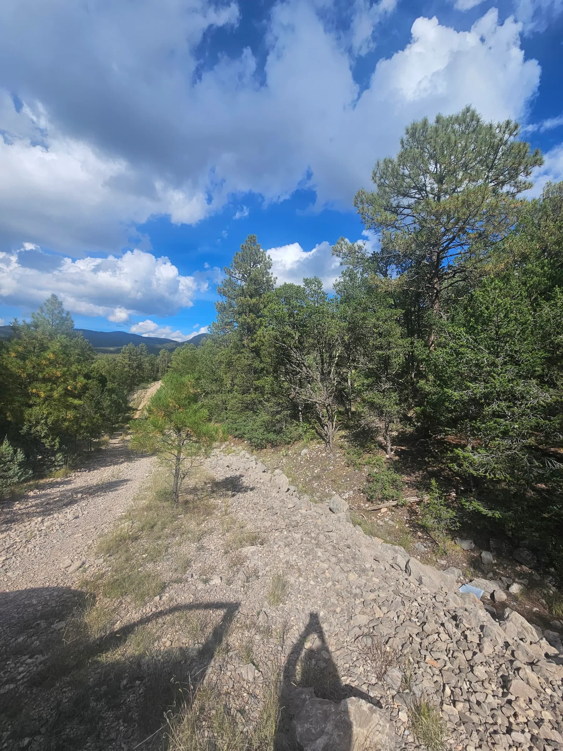 A fork in the mountains