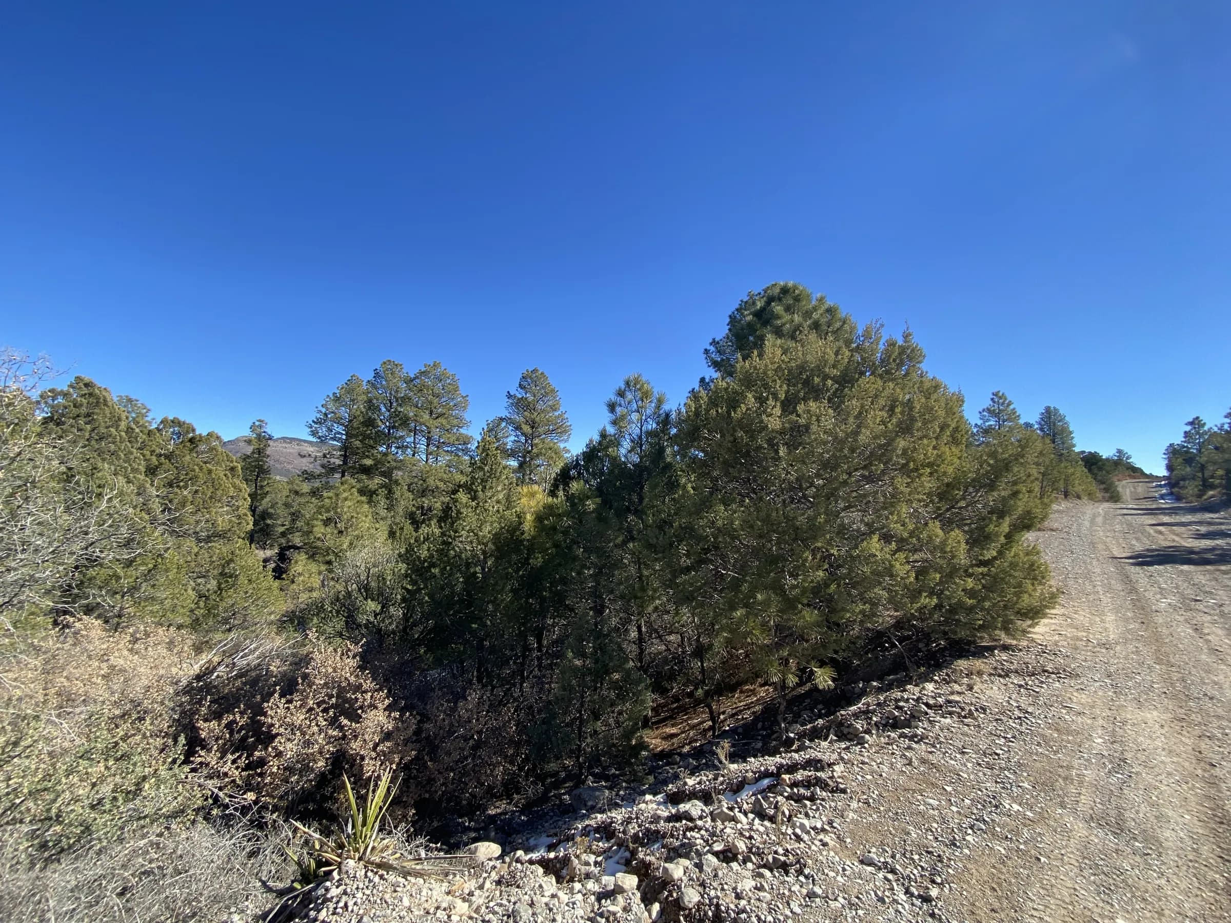 Gravel road along the corner lots at Edgewood and Birdman with pines and blue sky