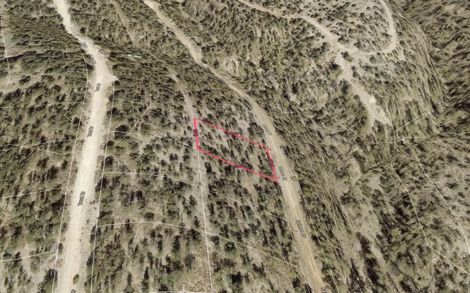 Illustration: TimberView 3D parcel view with lot dimensions, terrain exaggerated 2x