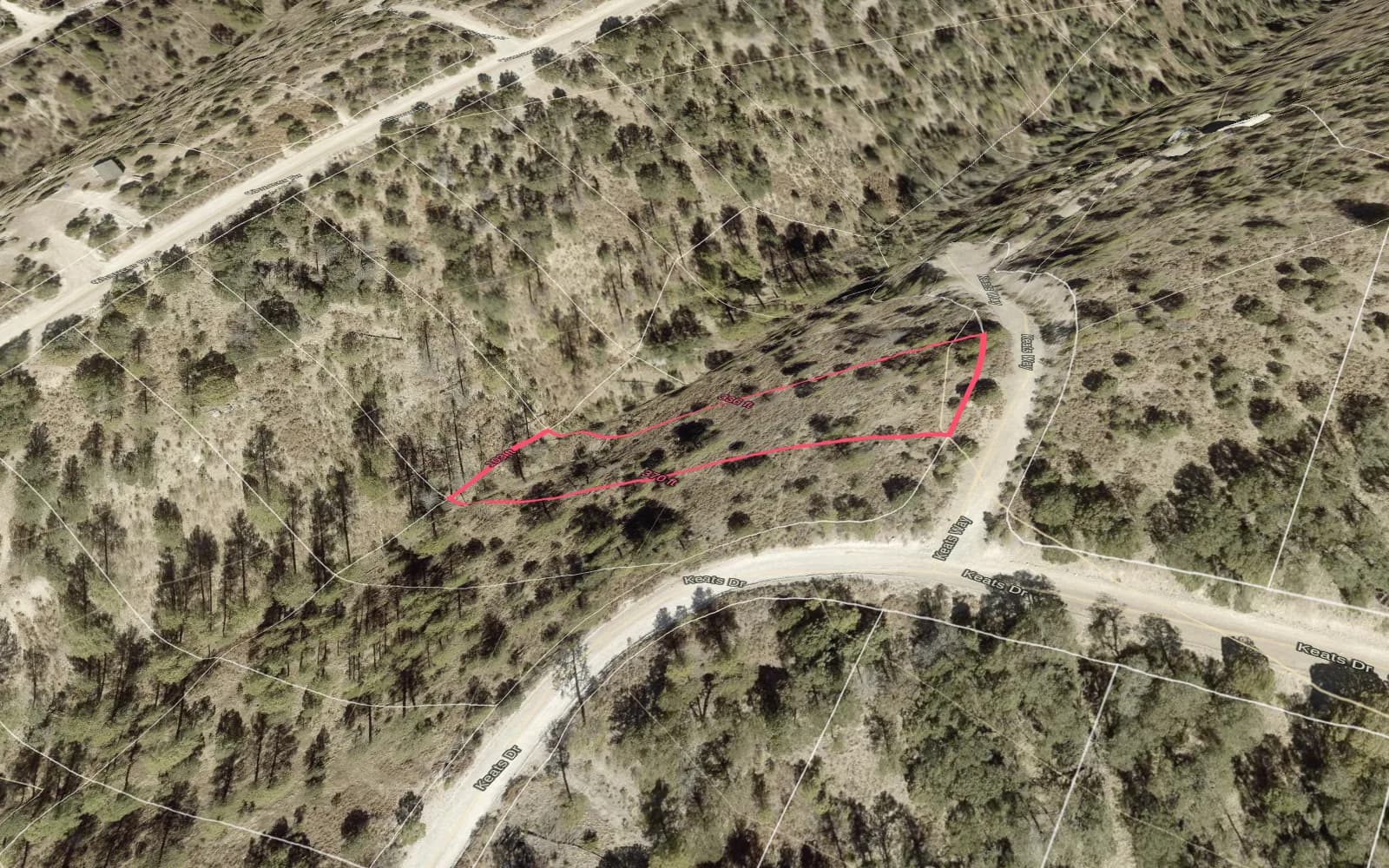 Illustration: TimberView 3D parcel view with lot dimensions, terrain exaggerated 2x