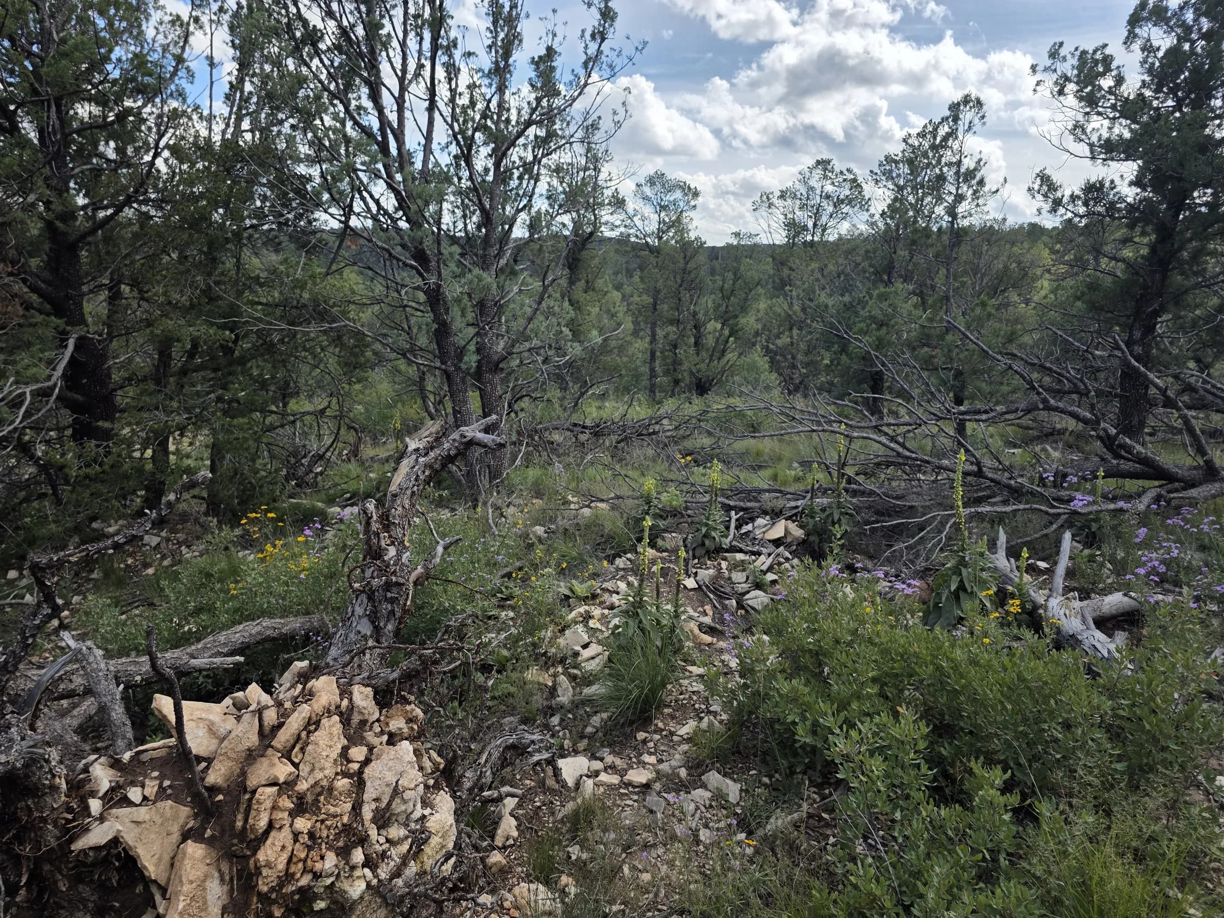 Rocky edge of the lot with the view beyond