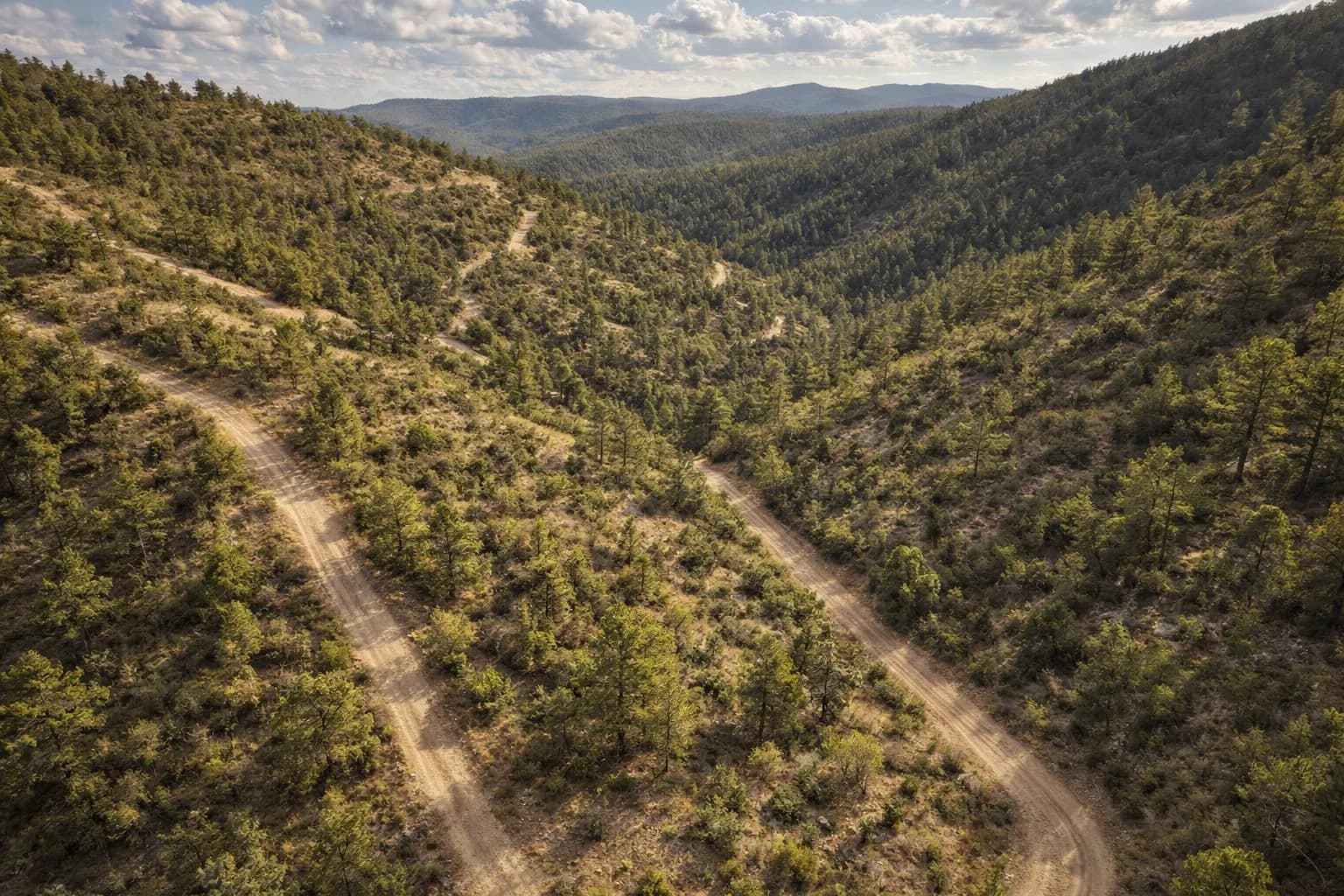 Illustration: AI drone view of the lot, made from the county aerial and the photos