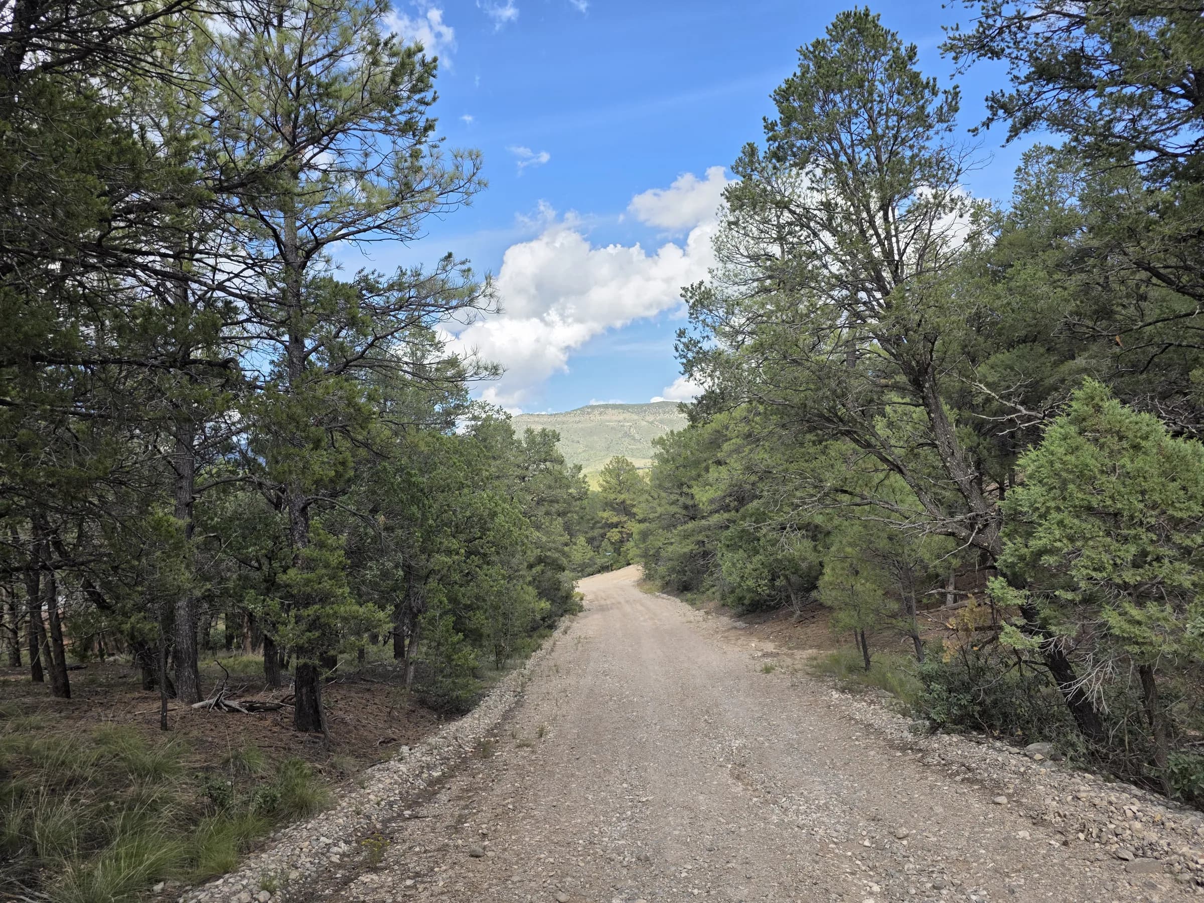 Looking into the lot from the road