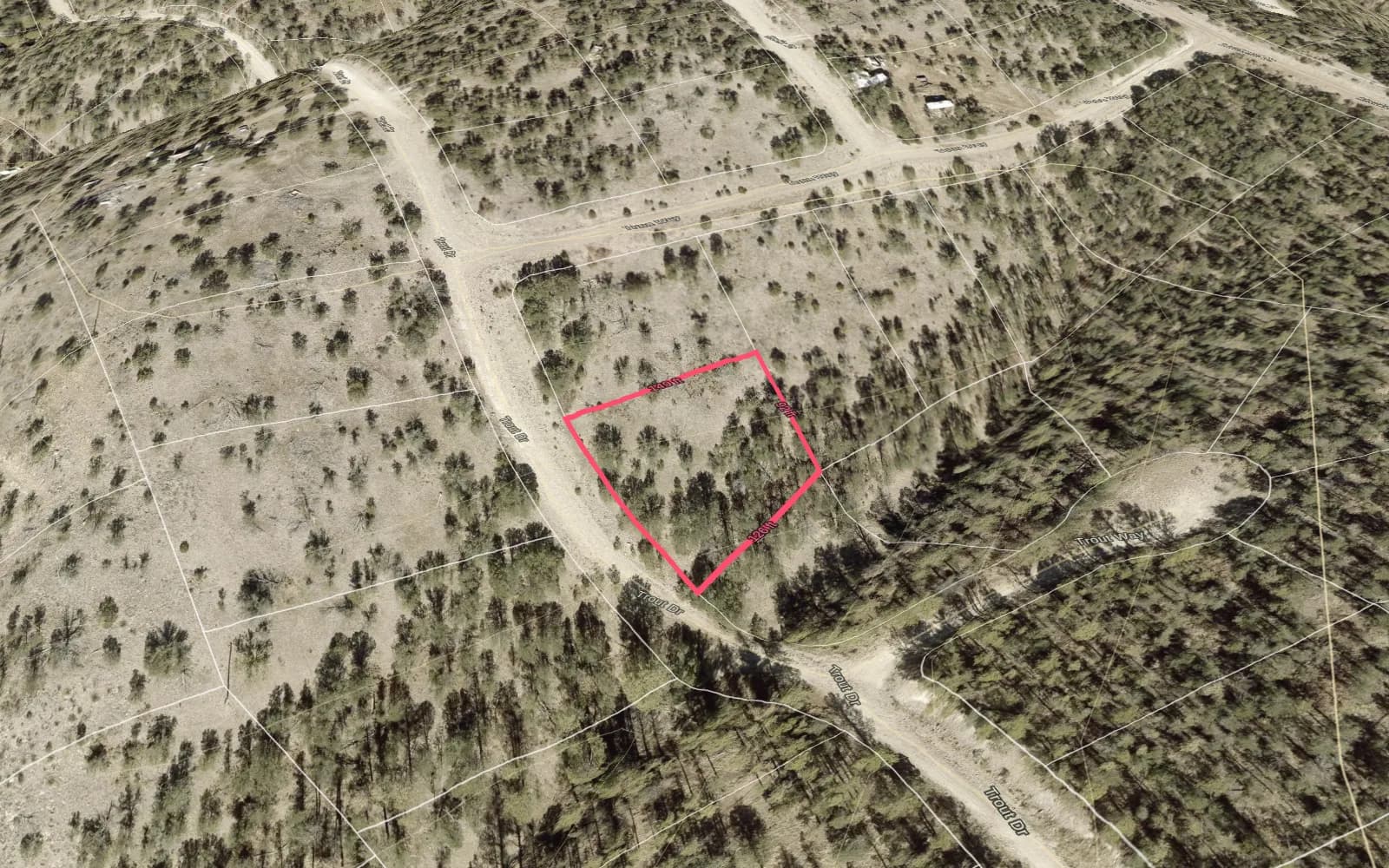 Illustration: TimberView 3D parcel view with lot dimensions, terrain exaggerated 2x