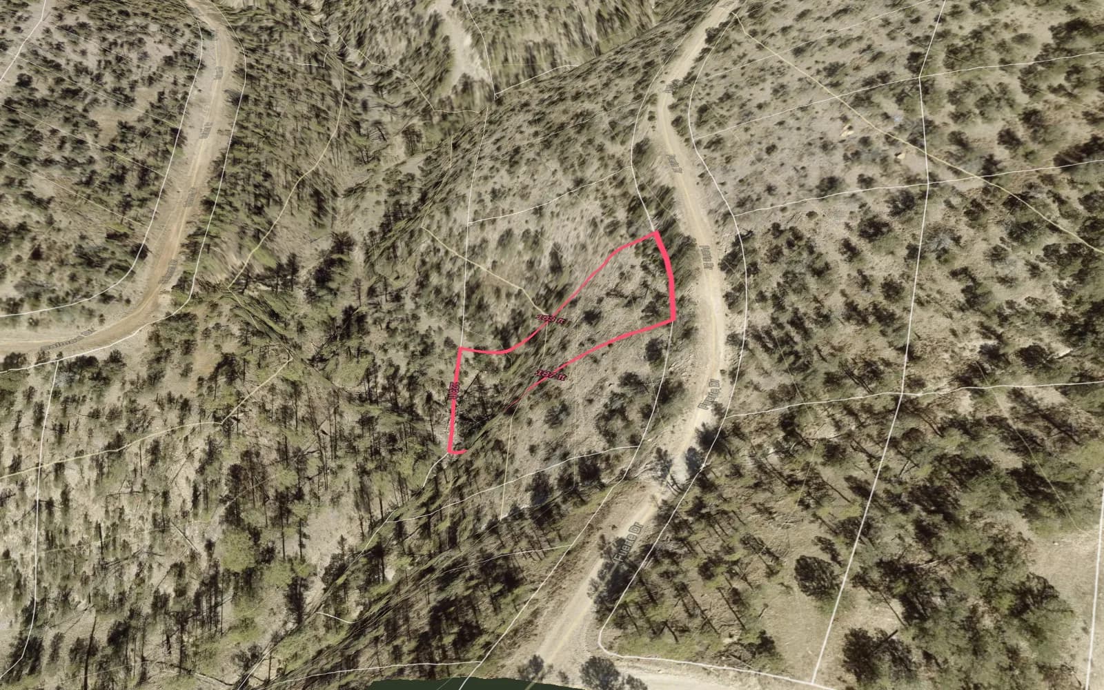 Illustration: TimberView 3D parcel view with lot dimensions, terrain exaggerated 2x