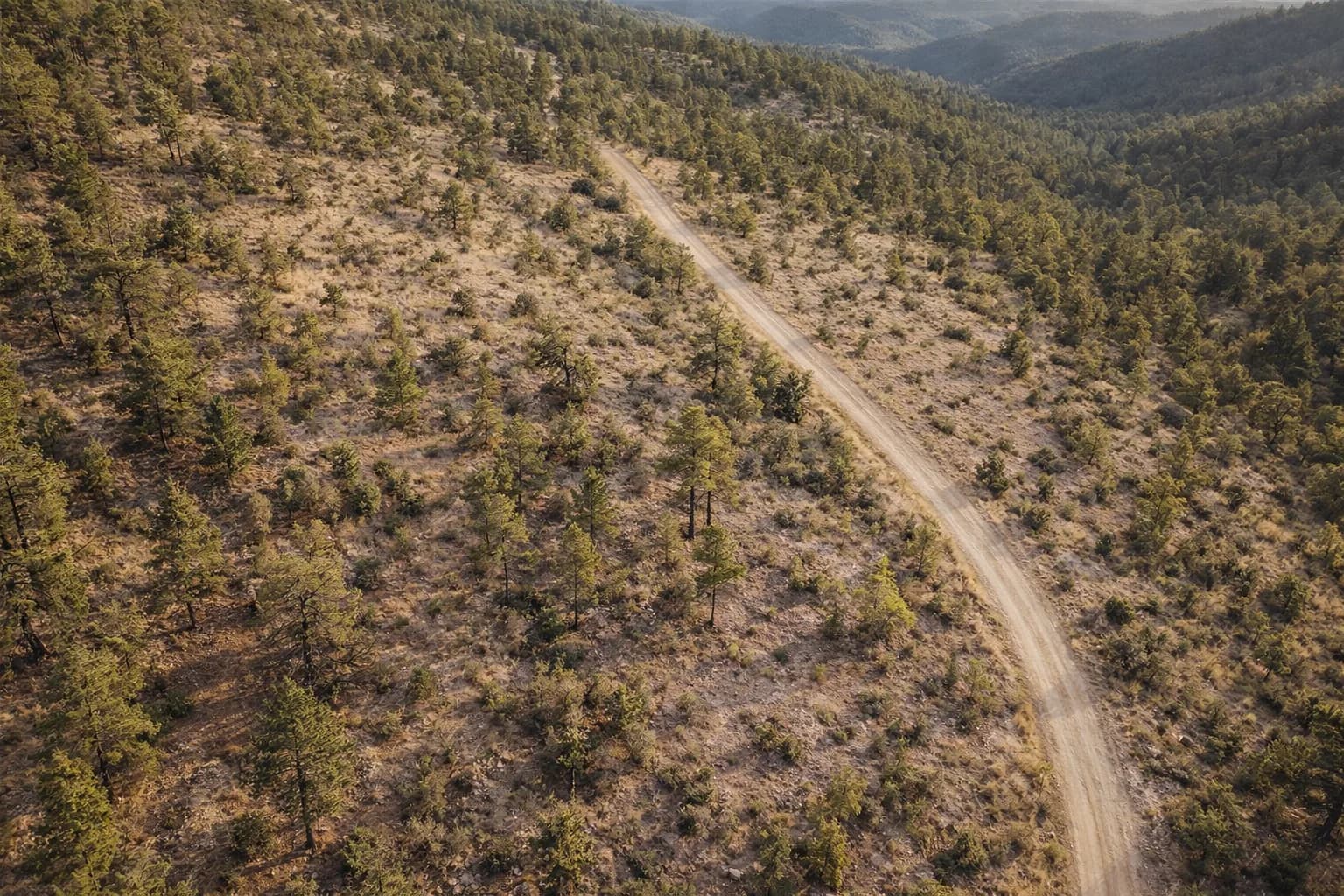 Ilustración: vista aérea con dron de la parcela, hecha a partir de la imagen aérea del condado y las fotos