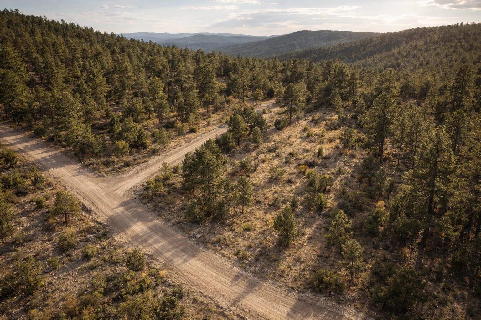 Illustration: AI drone view of the lot, made from the county aerial and the photos