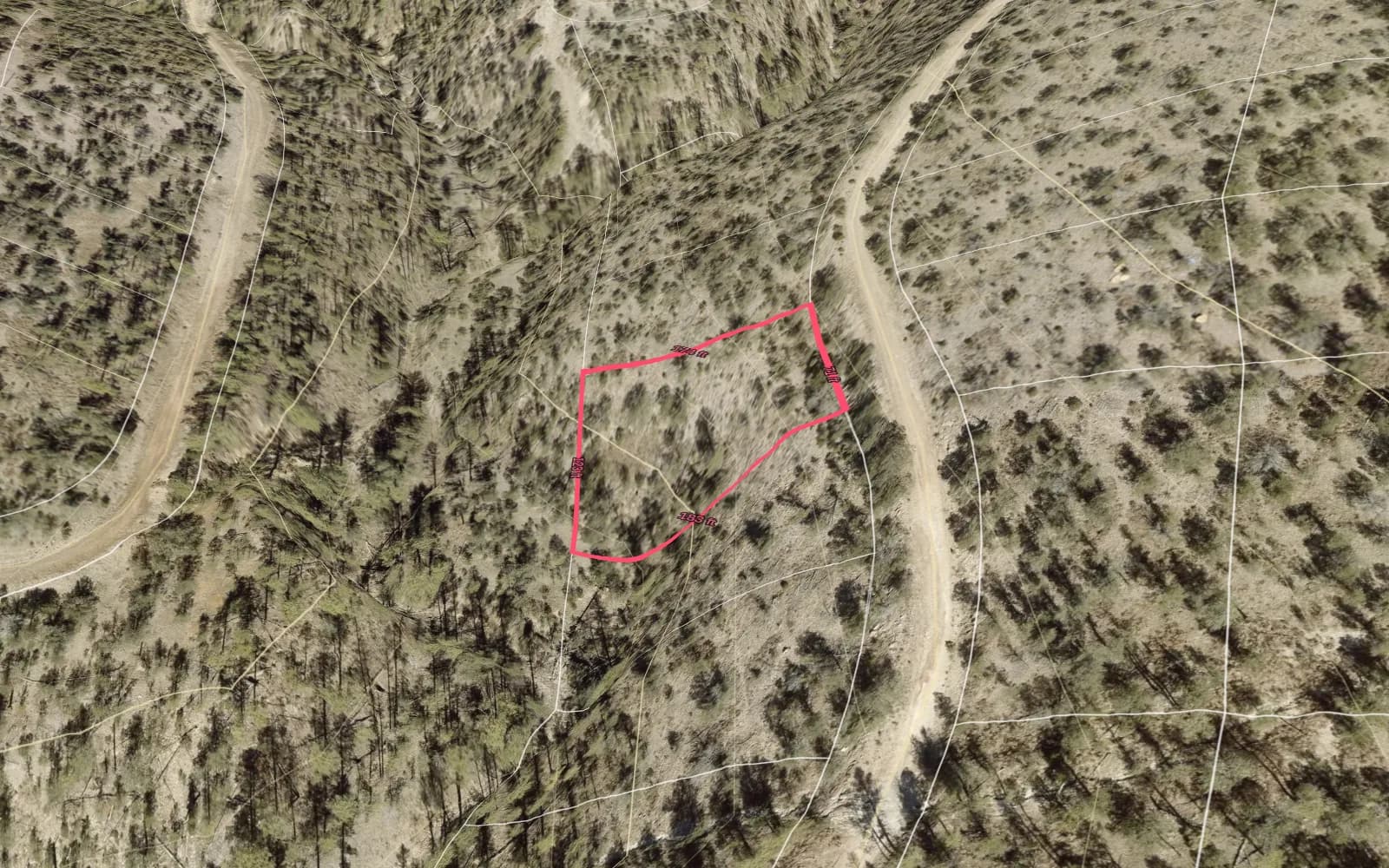 Illustration: TimberView 3D parcel view with lot dimensions, terrain exaggerated 2x
