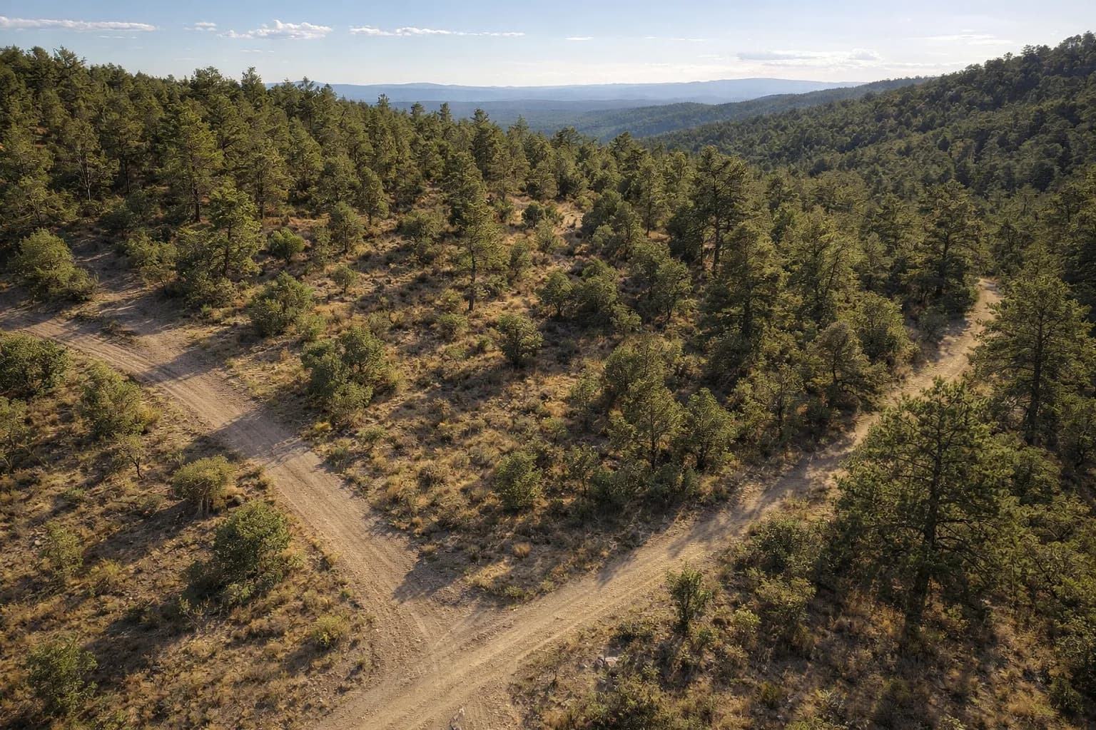 Illustration: AI drone view of the lot, made from the county aerial and the photos