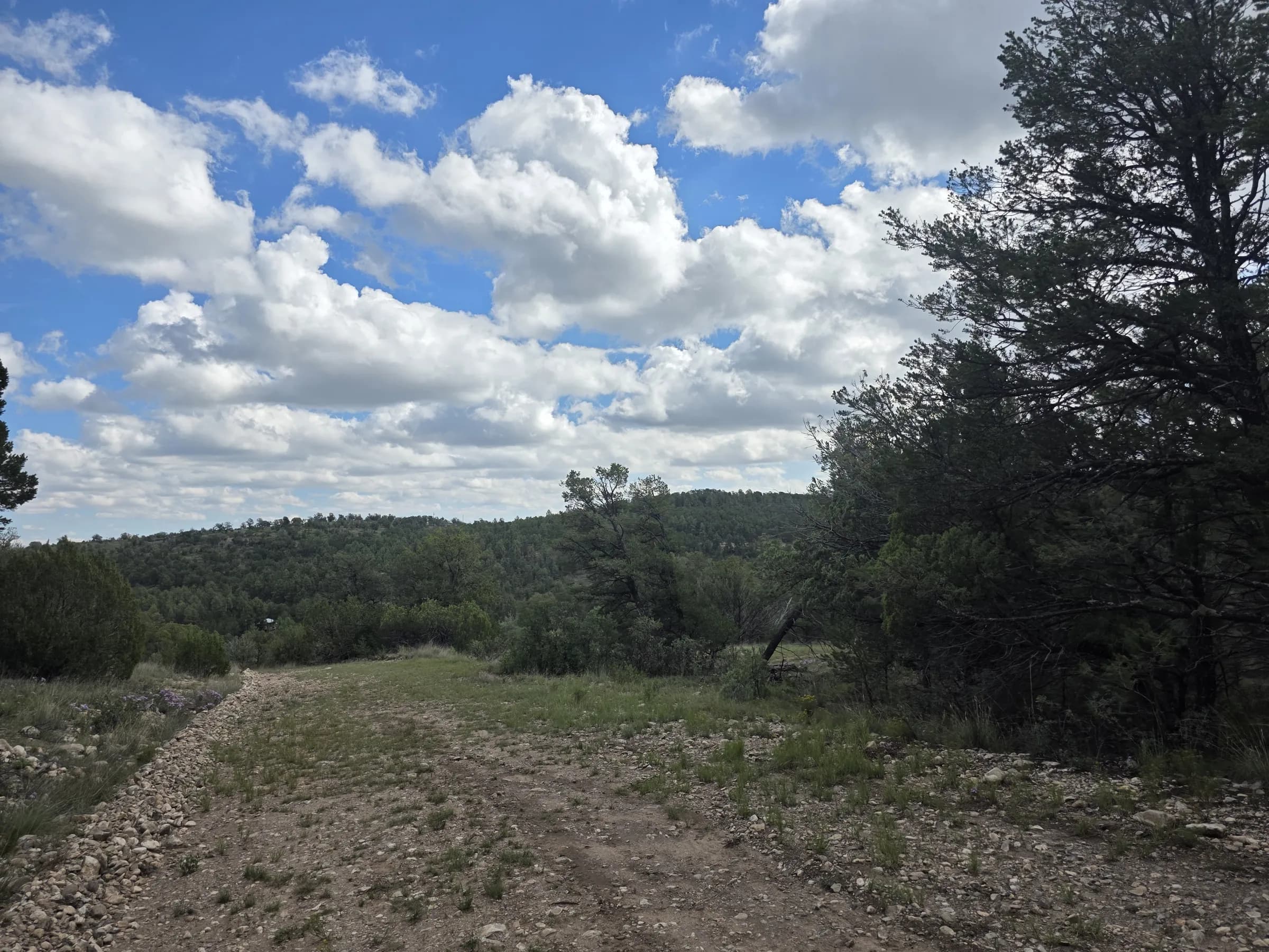 Trout Drive · Flat Wooded Lot with a Driveway