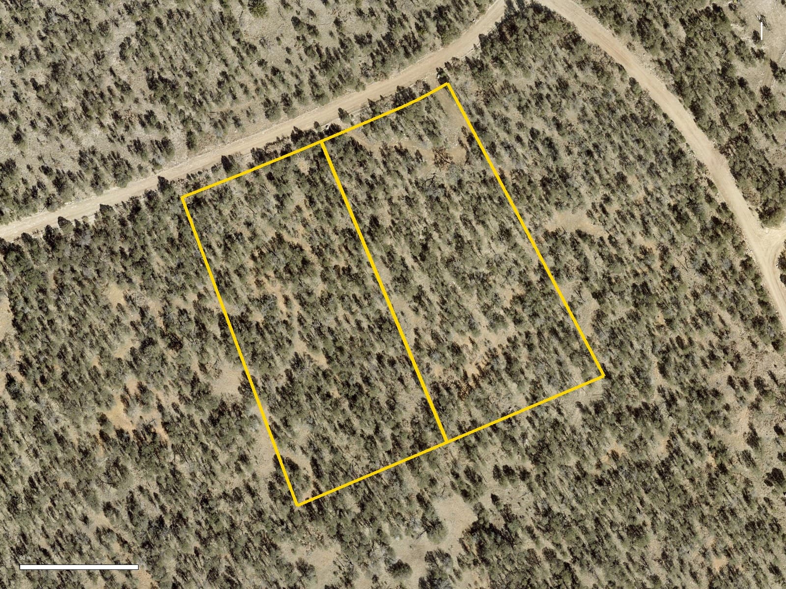 Aerial view of two flat wooded lots on Palomino Drive in Timberon with the boundaries outlined
