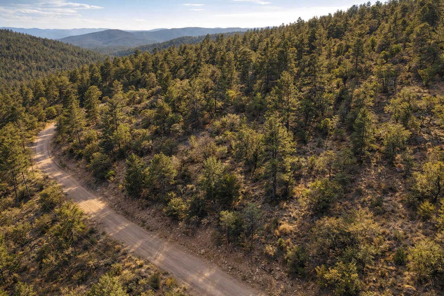 Illustration: AI drone view of the lot, made from the county aerial and the photos