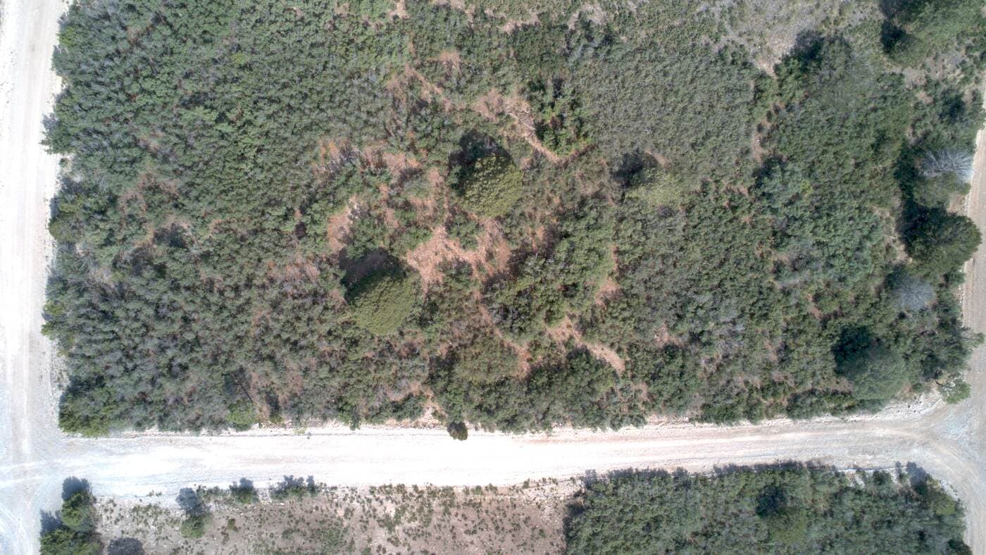 The forested village of Timberon from above